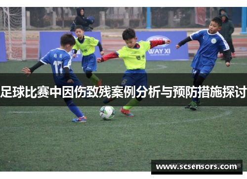 足球比赛中因伤致残案例分析与预防措施探讨